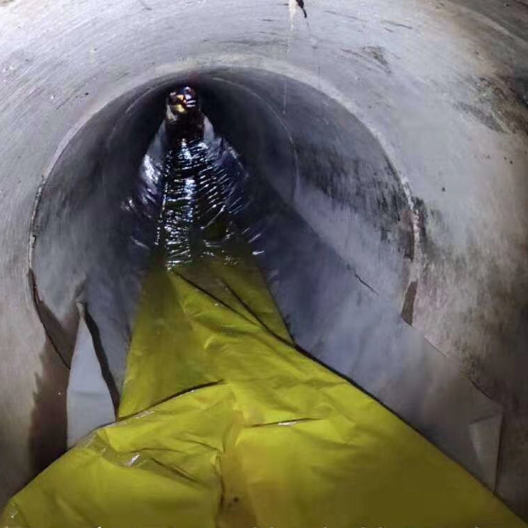 沙湖原种场管道光固化修复