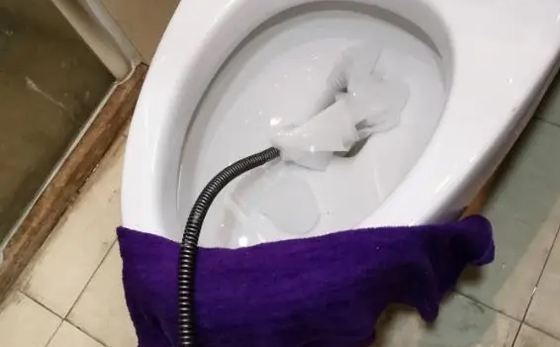 沙湖原种场马桶疏通