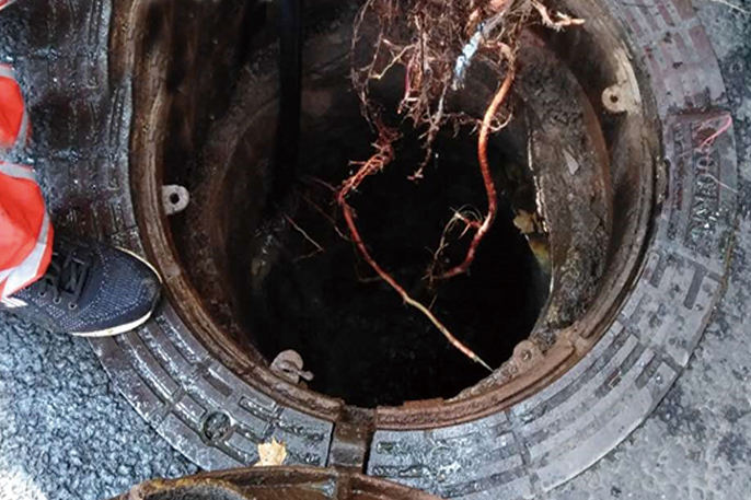 沙湖原种场管道预处理